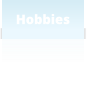 Hobbies